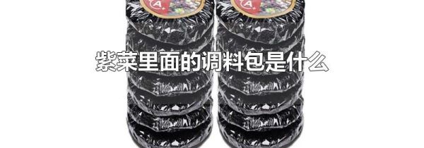 紫菜里面的调料包是什么