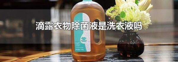 滴露衣物除菌液是洗衣液吗