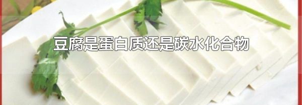 豆腐是蛋白质还是碳水化合物