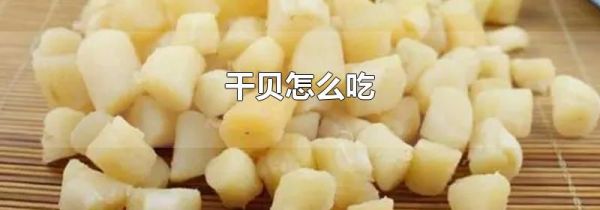 干贝怎么吃