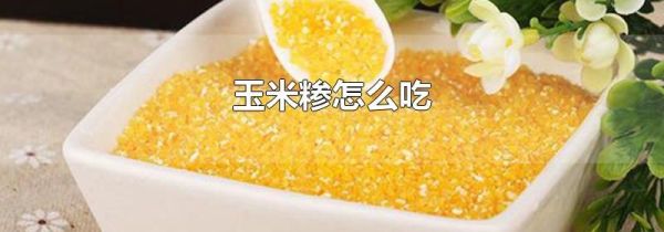 玉米糁怎么吃