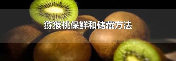 猕猴桃保鲜和储藏方法