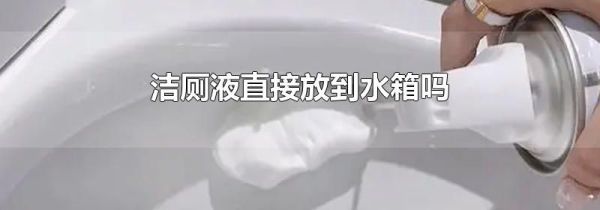 洁厕液直接放到水箱吗