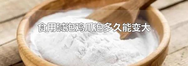 食用碱泡鸡爪泡多久能变大
