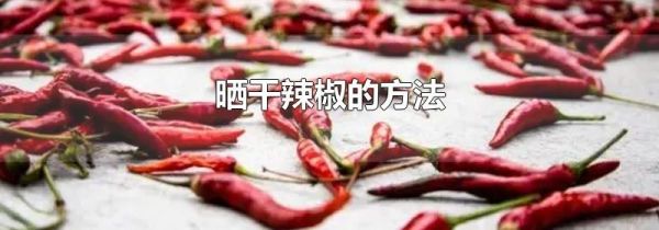 晒干辣椒的方法