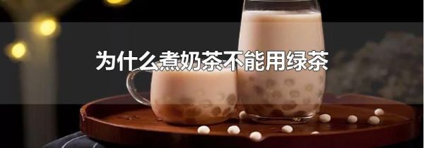 为什么煮奶茶不能用绿茶