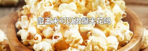 湿玉米可以做爆米花吗