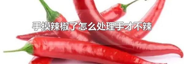 手摸辣椒了怎么处理手才不辣