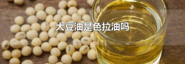 大豆油是色拉油吗