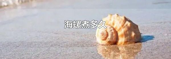 海螺煮多久