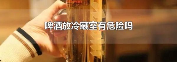 啤酒放冷藏室有危险吗