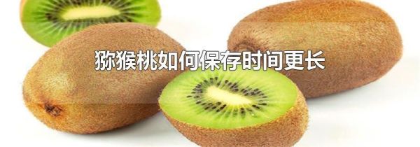 猕猴桃如何保存时间更长