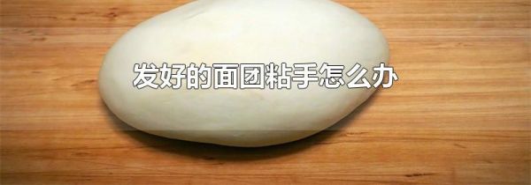 发好的面团粘手怎么办