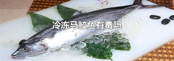 冷冻马鲛鱼有毒吗