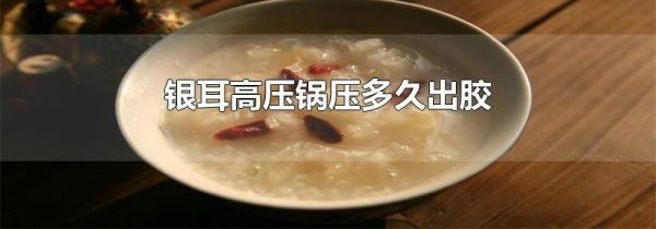 银耳高压锅压多久出胶