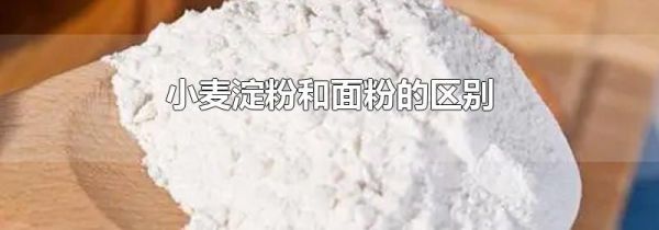 小麦淀粉和面粉的区别