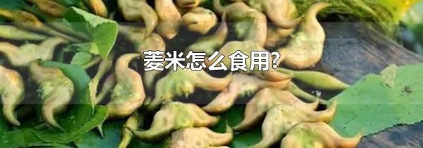 菱米怎么食用?