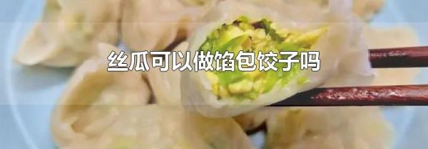 丝瓜可以做馅包饺子吗