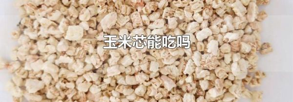 玉米芯能吃吗
