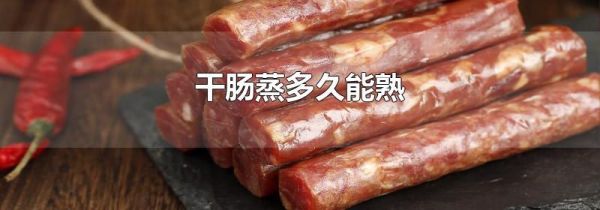 干肠蒸多久能熟
