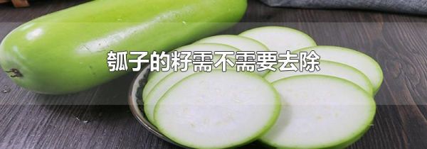 瓠子的籽需不需要去除