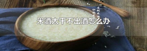 米酒太干不出酒怎么办