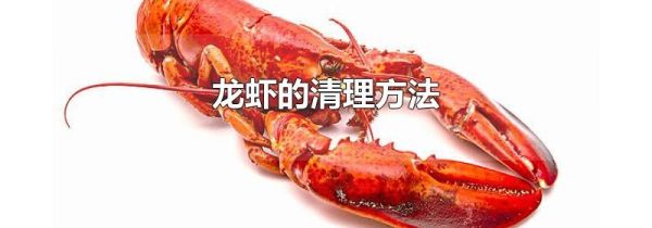 龙虾的清理方法