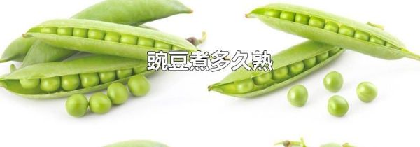 豌豆煮多久熟