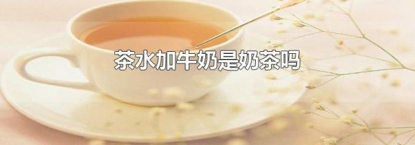 茶水加牛奶是奶茶吗