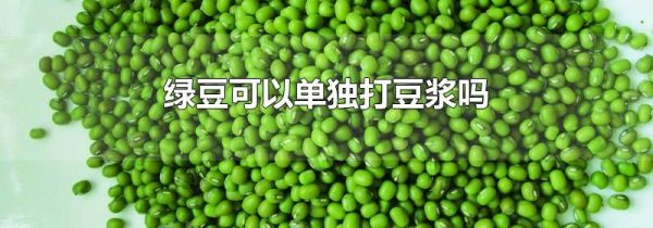 绿豆可以单独打豆浆吗