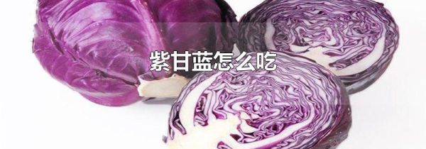 紫甘蓝怎么吃