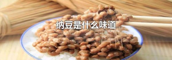 纳豆是什么味道