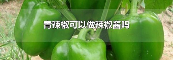 青辣椒可以做辣椒酱吗