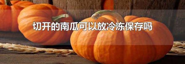 切开的南瓜可以放冷冻保存吗