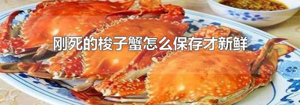 刚死的梭子蟹怎么保存才新鲜