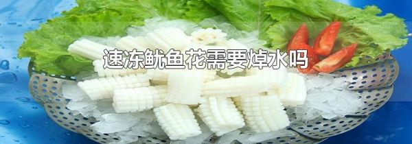 速冻鱿鱼花需要焯水吗