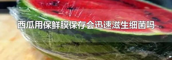 西瓜用保鲜膜保存会迅速滋生细菌吗