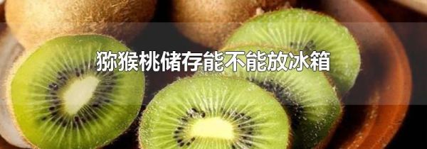 猕猴桃储存能不能放冰箱