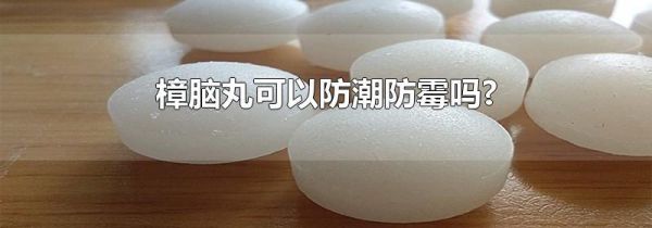 樟脑丸可以防潮防霉吗?