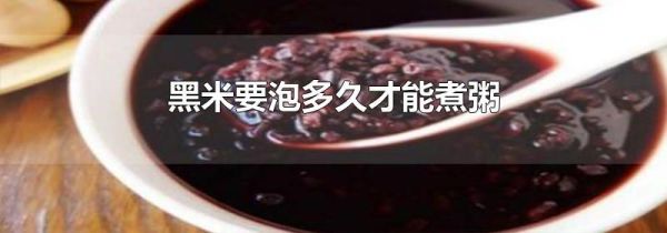 黑米要泡多久才能煮粥