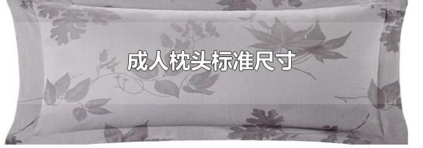 成人枕头标准尺寸