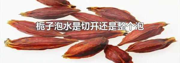 栀子泡水是切开还是整个泡