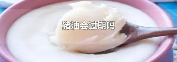 猪油会过期吗