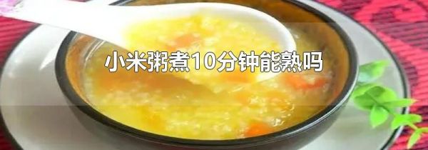 小米粥煮10分钟能熟吗