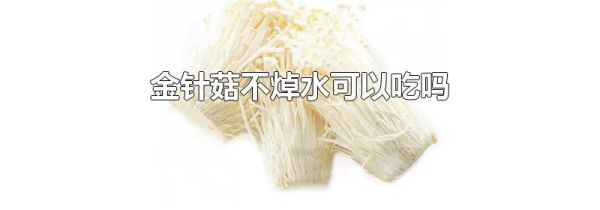 金针菇不焯水可以吃吗