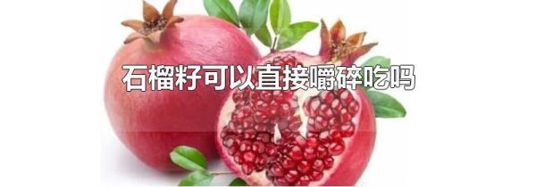 石榴籽可以直接嚼碎吃吗