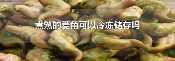 煮熟的菱角可以冷冻储存吗