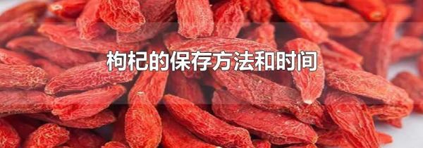 枸杞的保存方法和时间