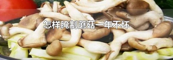 怎样腌制蘑菇一年不坏