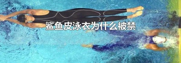 鲨鱼皮泳衣为什么被禁